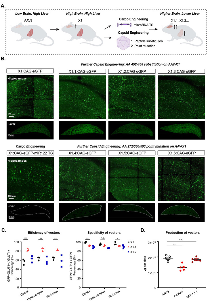 Figure 2: