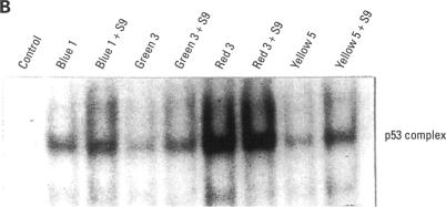 Figure 7. B