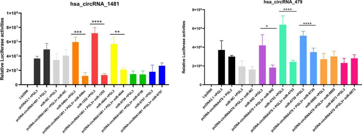 FIGURE 10