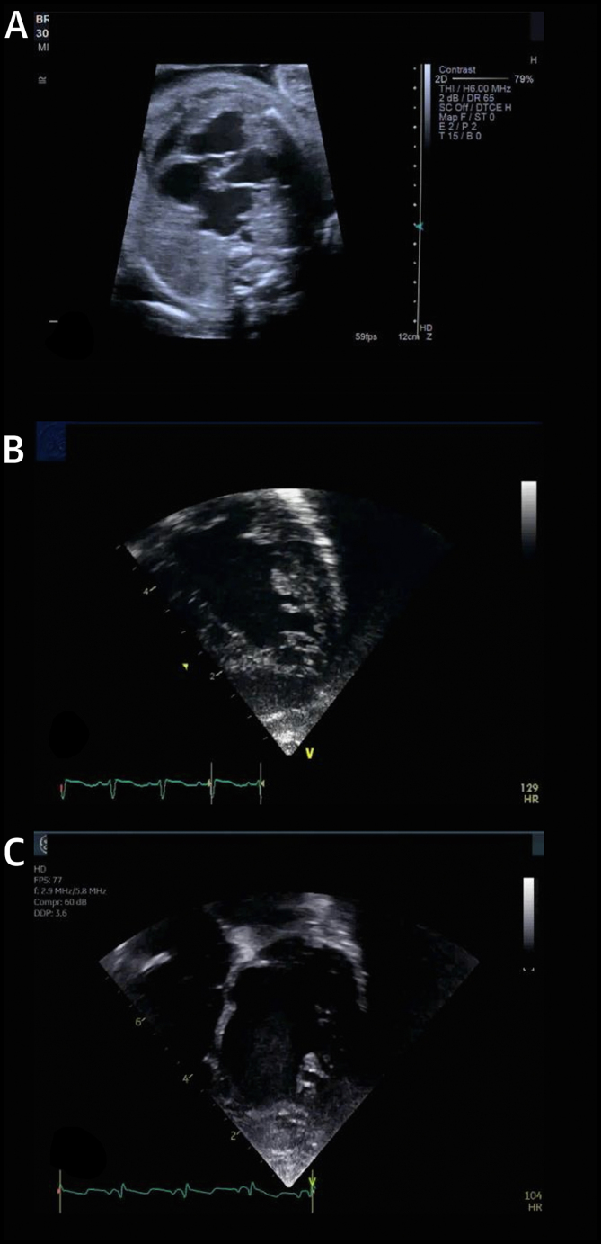 Figure 5