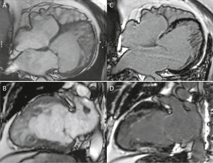 Figure 4