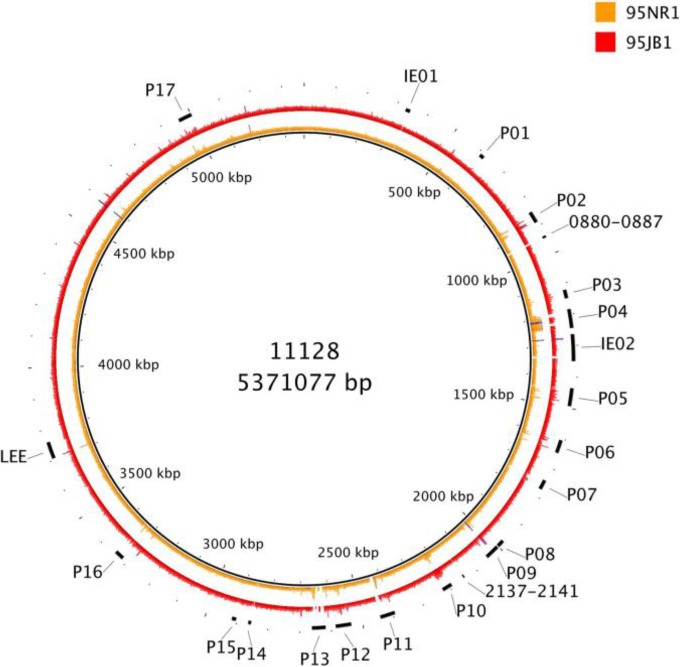 FIG 2