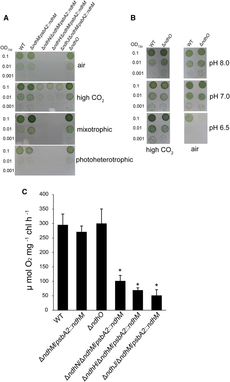 Figure 3.