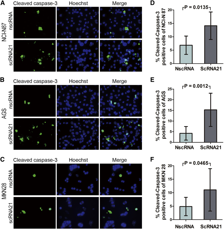 Figure 6