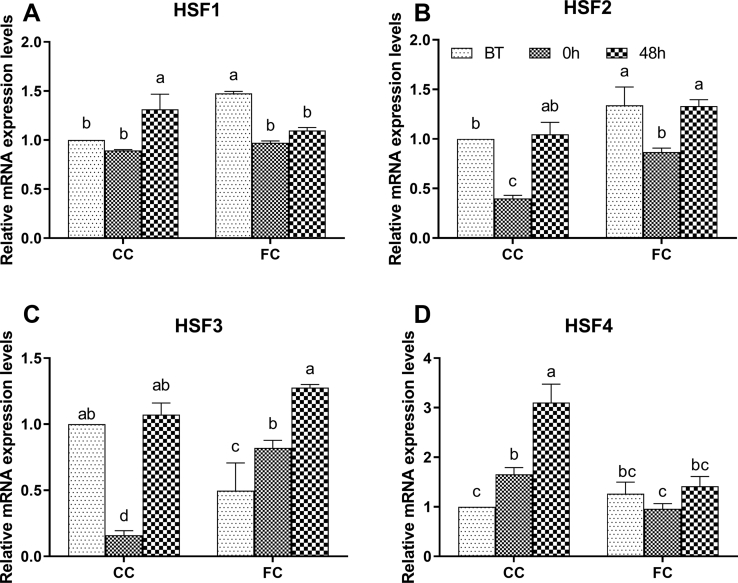 Figure 4