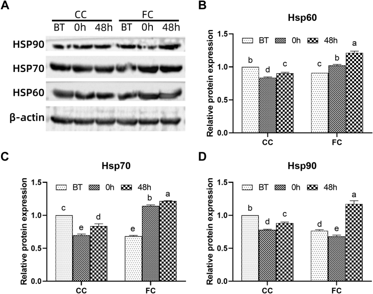 Figure 3