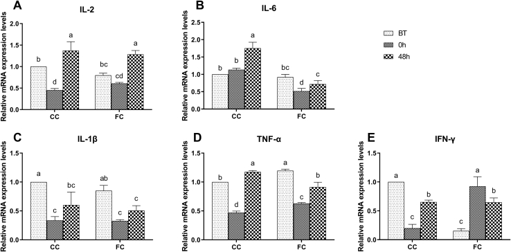 Figure 6