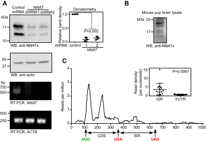 Figure 3