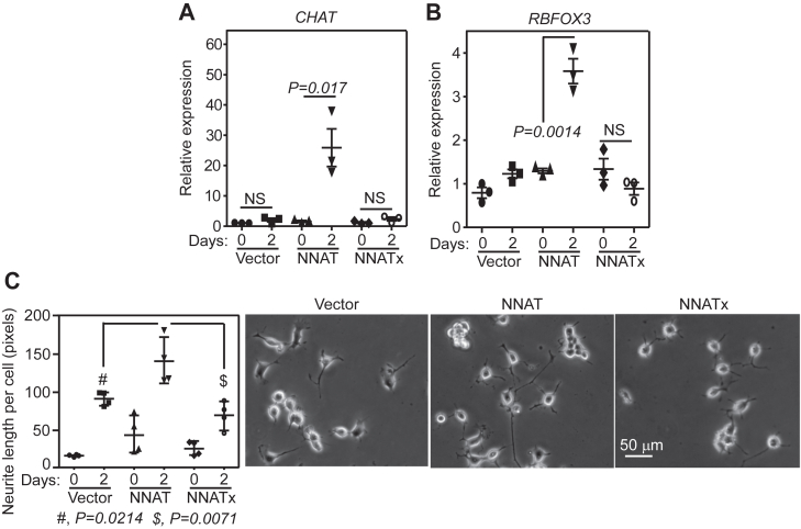 Figure 6