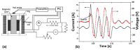 Figure 27