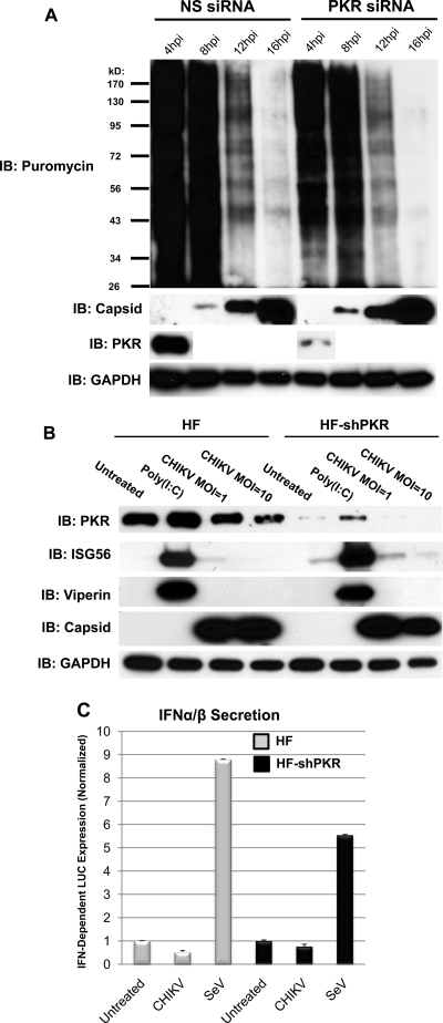 FIG. 9.