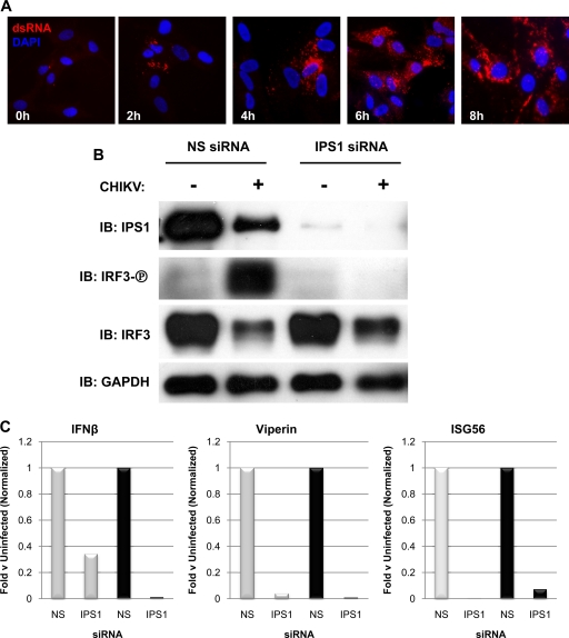 FIG. 4.