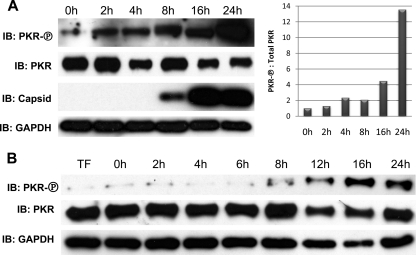 FIG. 7.