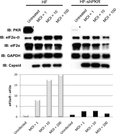 FIG. 8.