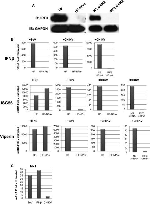 FIG. 3.