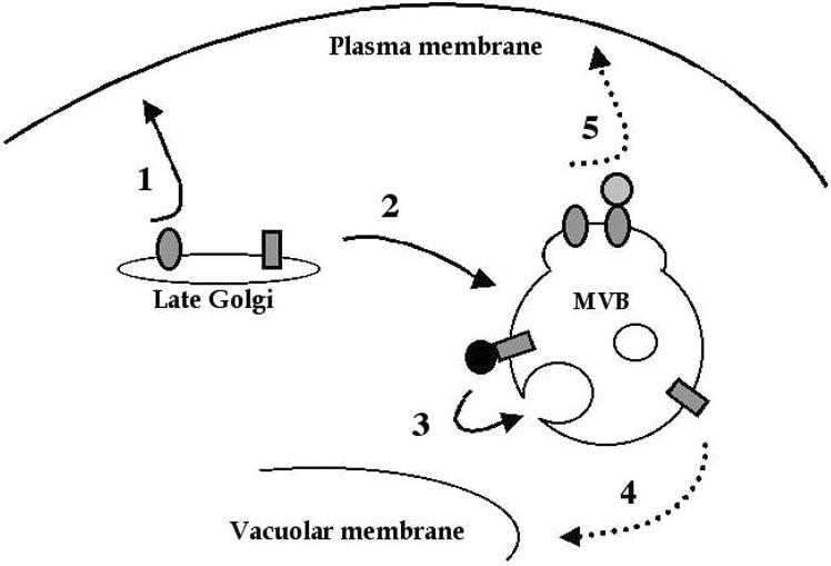 Figure 7.