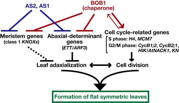 Fig. 8.