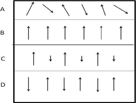 Fig. 11