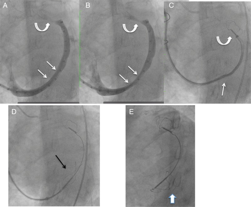 Figure 3