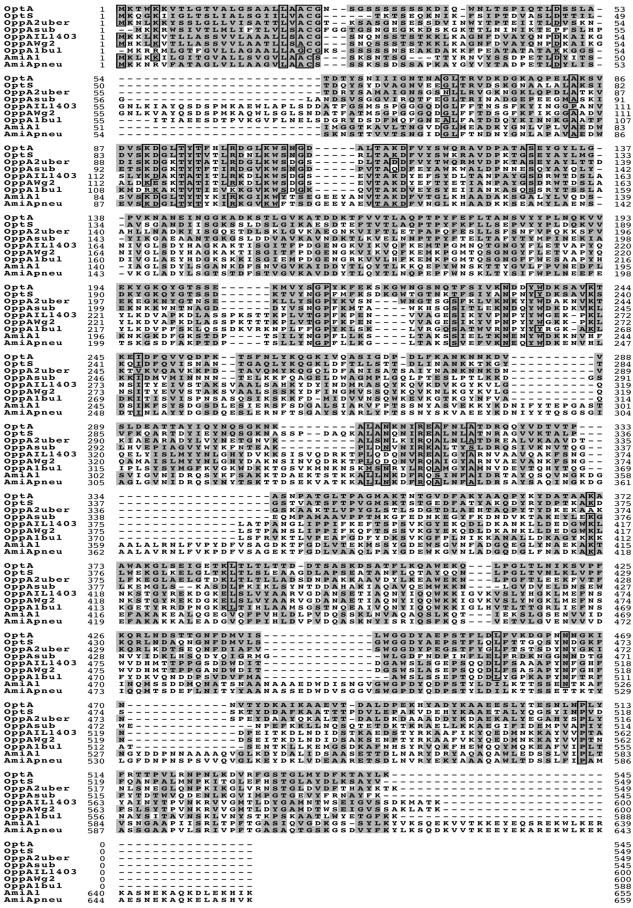 FIG.3.