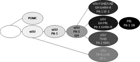 Fig. 3