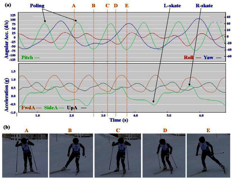 Figure 7.