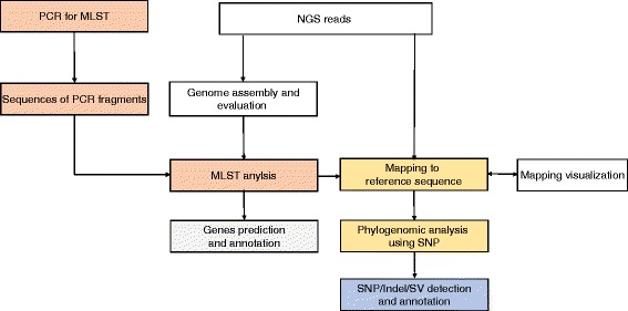 Fig. 4