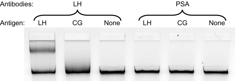 Fig. S7.