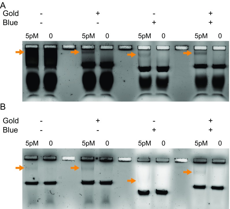 Fig. S3.