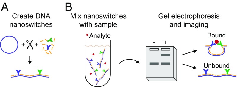 Fig. 1.