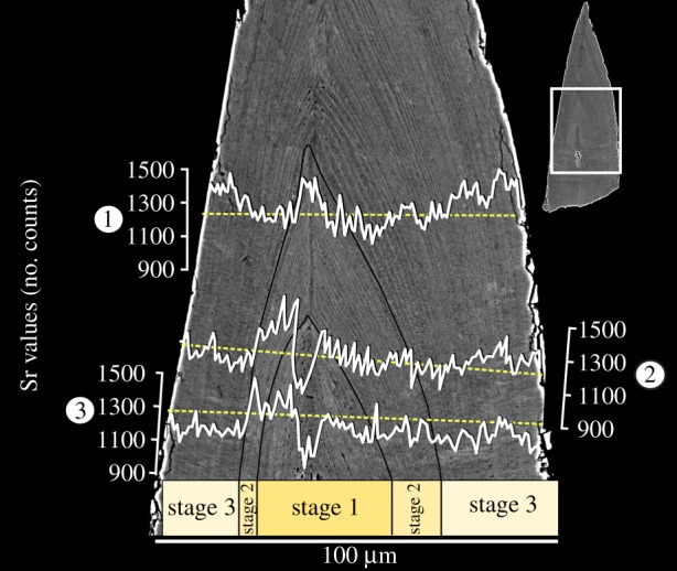 Figure 3.