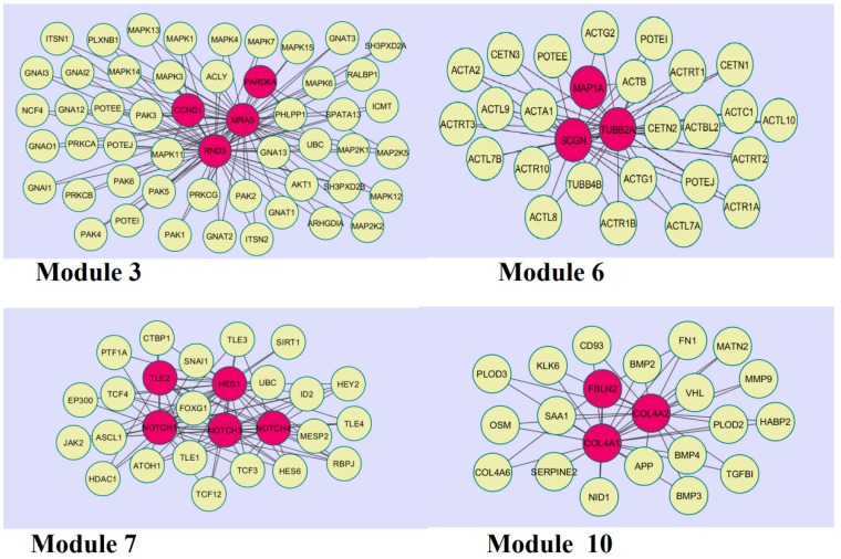 Figure 11