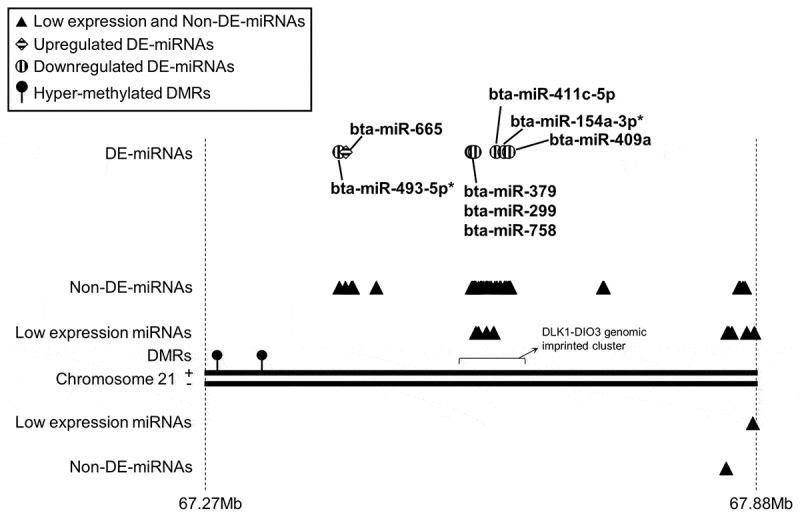 Figure 3.