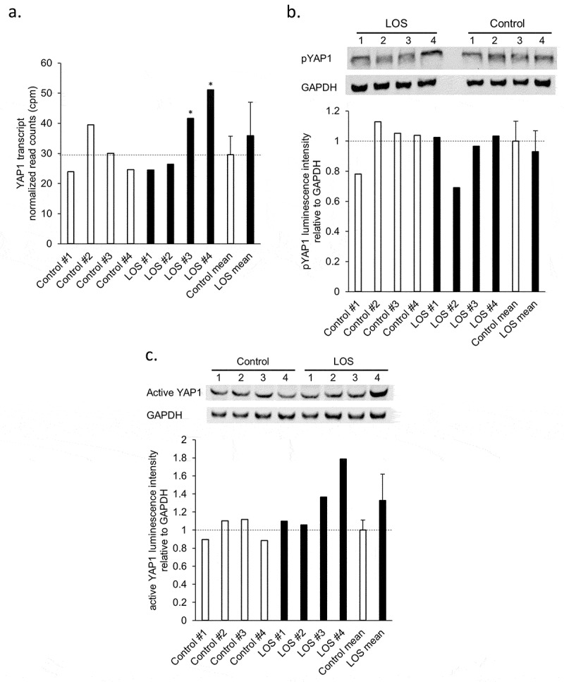 Figure 7.