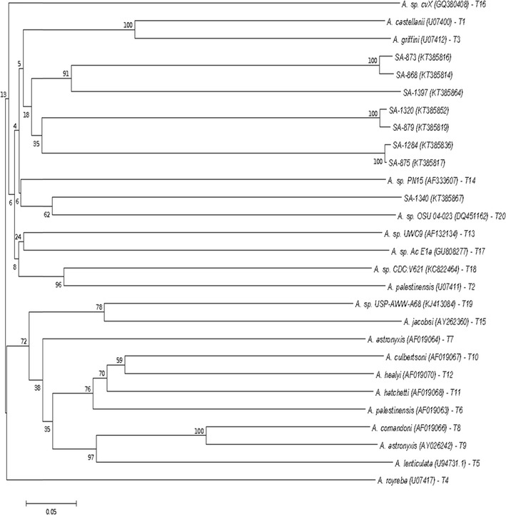 Fig. 2