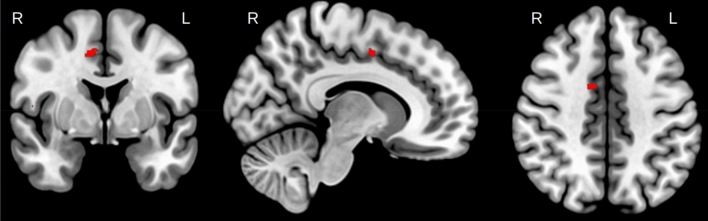 Fig. 7