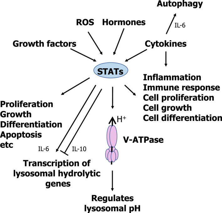 Fig. 7