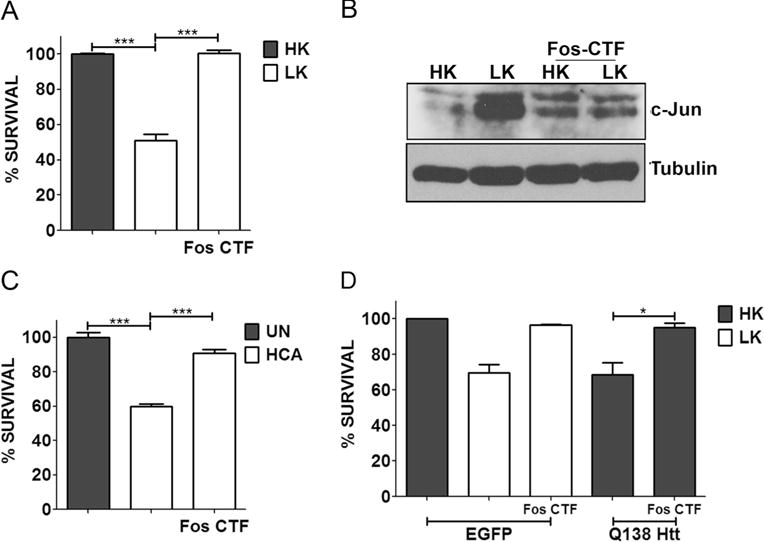 Fig. 11