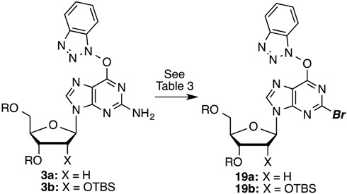 graphic file with name molecules-20-18437-i008.jpg