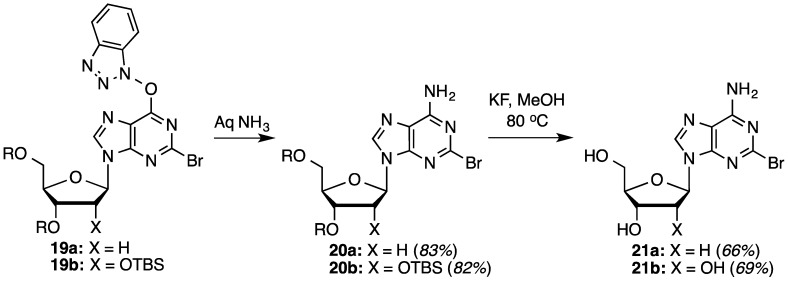 Scheme 3