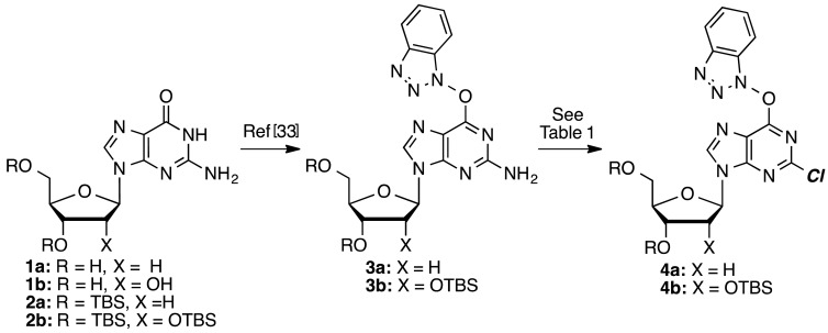 Scheme 1