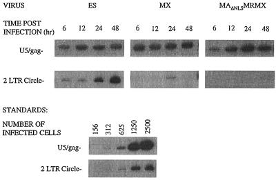 FIG. 1