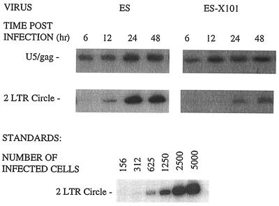 FIG. 4