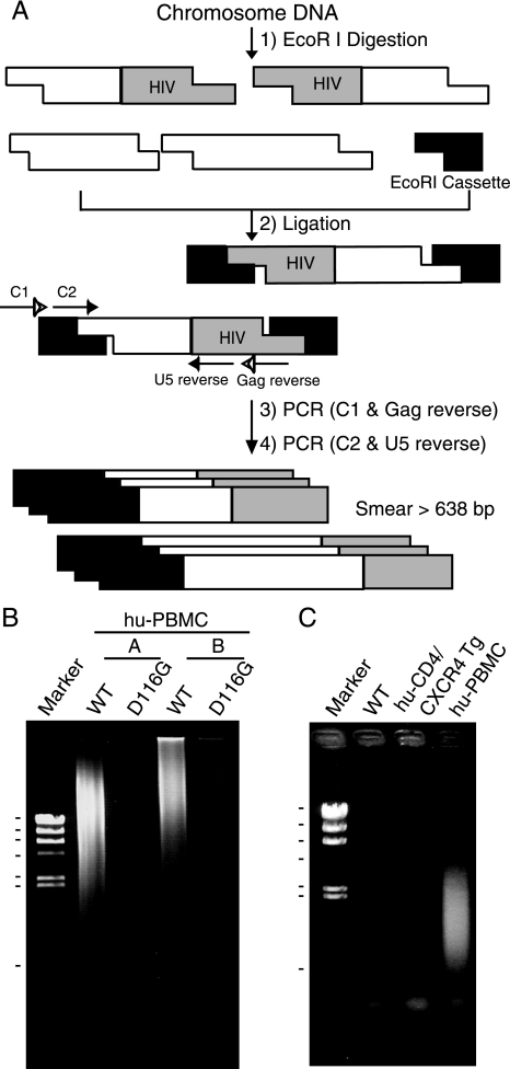 FIG. 3.