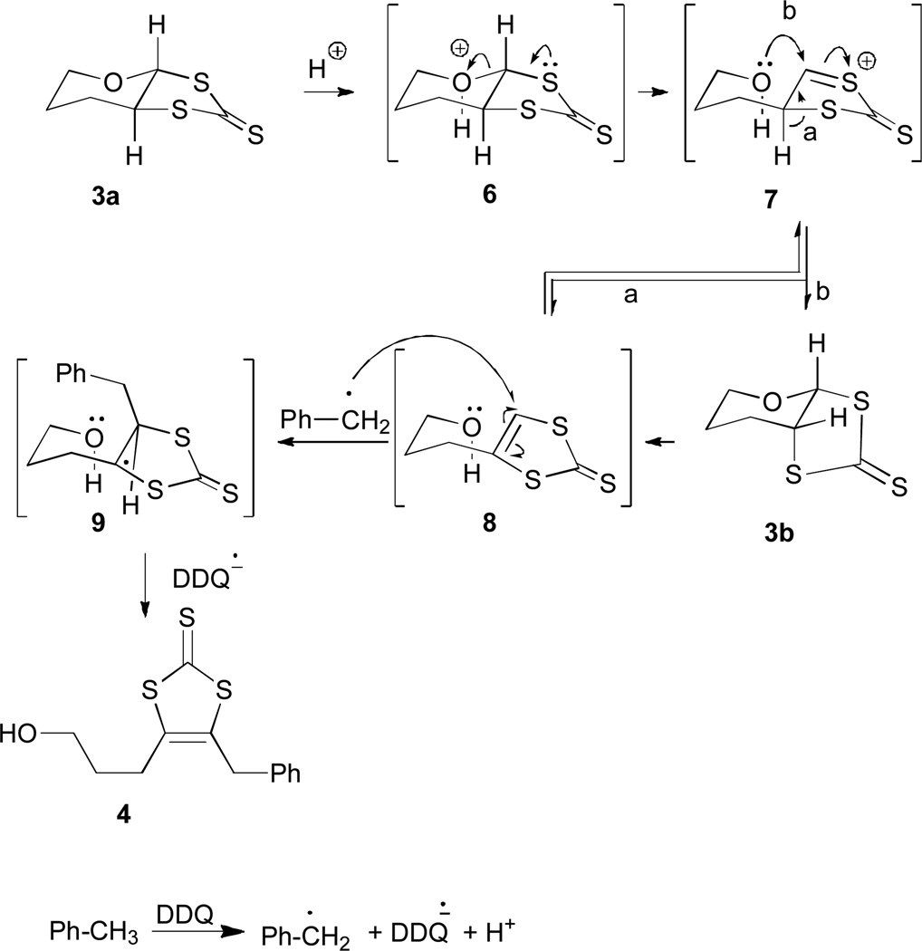 Scheme 2