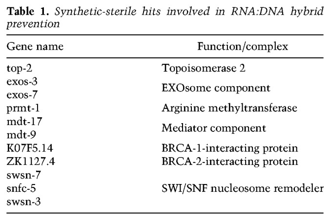 Synergistic lethality between BRCA1 and H3K9me2 loss reflects satellite ...