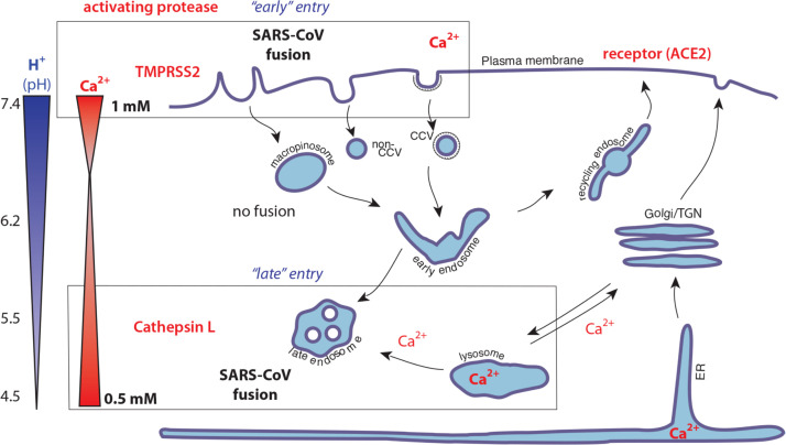 Fig. 3