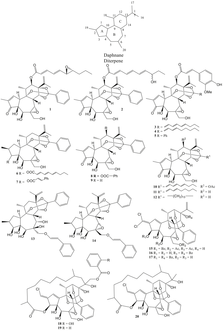 Figure 1