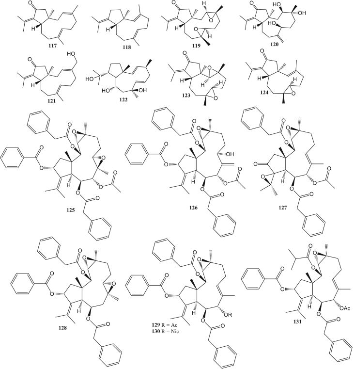 Figure 7