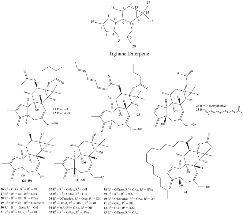 Figure 2